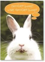 White Bunny W/Chocolate