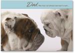 Bulldogs