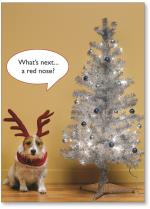 Dog With Antlers