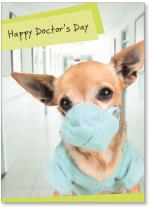 Dog wearing scrubs
