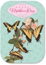 3 Butterflies