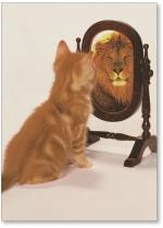 Roaring Reflection