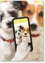 Two selfie dogs