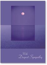 Ocean Inset Shows Moonlight