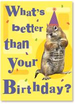 Squirrel In Party Hat