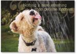 Dog With Sprinkler