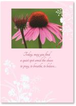 Pink Daisy