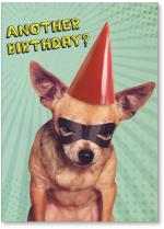 Dog in Mask and Hat