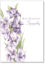 Purple Irises