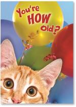 Cat With Balloons