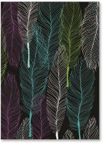 feathers