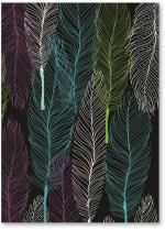 feathers
