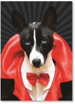 Dracula Dog