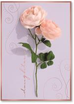 Peach Rose with foil swirls