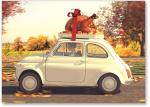 Car with turkey on top.