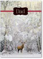 Buck in snow trees