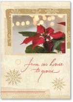 Poinsettia