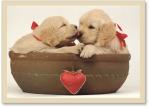 Photo Of 2 Lab Pups/Bowl