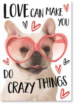 Dog with heart glasses.