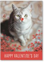 Cat with hearts.