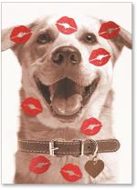 Kisses on the dog.