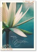 Lotus flower in bloom