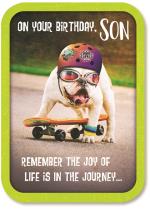 Dog on a skateboard
