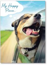 Dog hanging out car window