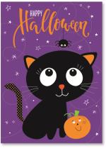 Kitty, pumpkin, spider