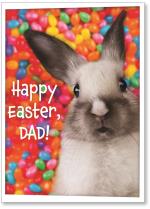 Rabbit with jelly beans