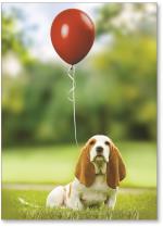 Dog with balloon