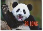 Panda waving