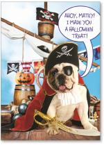 Pirate Dog