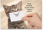 Cat with post-it note smile