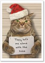 Cat mugshot