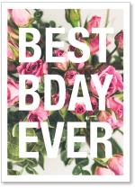 Best Day Ever Rose Bkgrd
