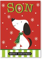 Cute white dog with scarf