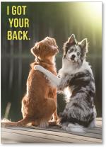 Dogs hugging