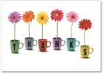 Flowers in mugs