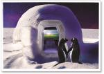 Penguins and TV with igloo