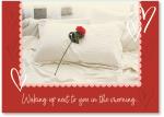 Red rose on pillow