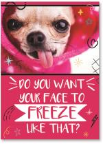 Dog with tongue sticking out