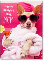 Dog with sunglasses in robe with martini