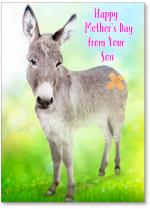 Donkey with band aid on its butt