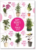 Plants with speech bubble