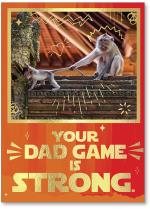 Photo of dad monkey