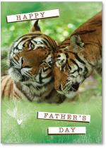 Photo of tigers cuddling