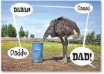 Ostrich with head in sand