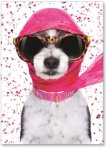 Dog in sunglasses and scarf