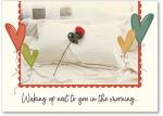 Red rose on pillow